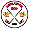 Saskatoon 60+ Hockey League